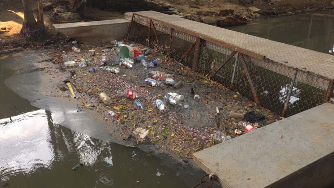 Ecobarreiras e Remada Ambiental atuam contra poluição dos igarapés em Manaus