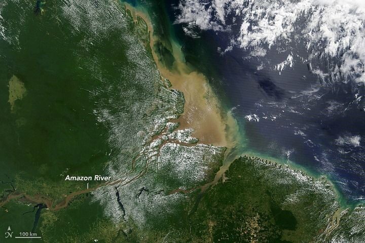 Estudo revela que pluma do Amazonas altera química do Oceano Atlântico