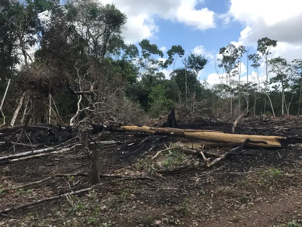 Desmatamento no Amapá cai 52,9% e Amazônia atinge menor taxa histórica