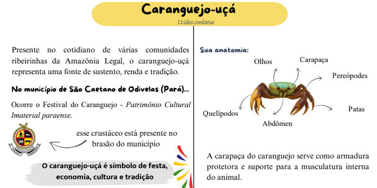Livreto destaca a importância do manguezal e do caranguejo-uçá no Pará
