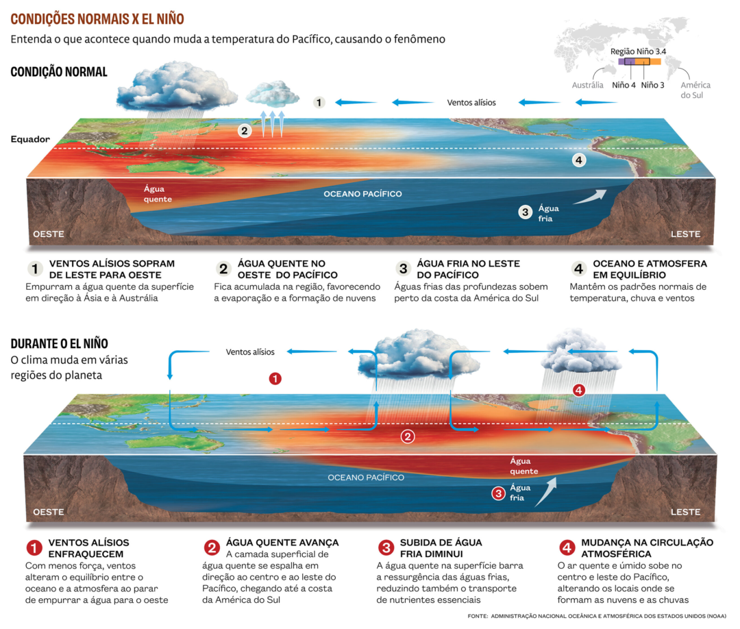 El Niño 2023-2024: Secas e Calor Extremo Transformam Florestas Tropicais