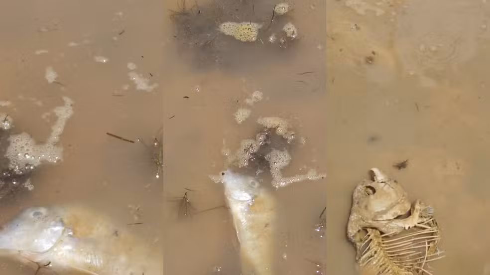 Seca severa em Tartarugalzinho isola comunidades e afeta pescadores