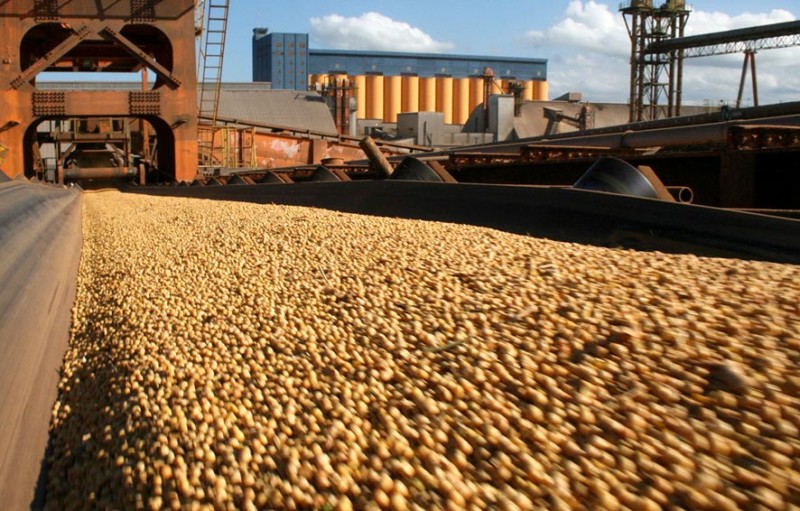 Brasil se destaca como líder em segurança alimentar global