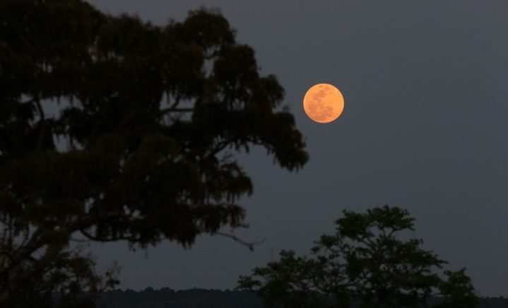 Eclipse lunar quase total será visível no Brasil entre 27 e 28 de agosto