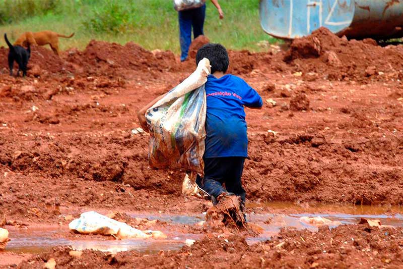 Cerca de 525 mil crianças e adolescentes em trabalho infantil de risco em 2025