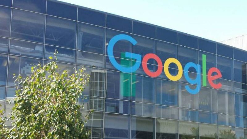 Google derruba 250 mil árvores na Finlândia e gera polêmica nacional