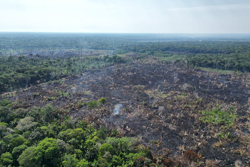 Desmatamento no Brasil atinge menor nível desde 2019, aponta MapBiomas