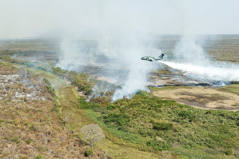 Sistema IA-FogoBio no Amazonas promete prever incêndios com antecedência