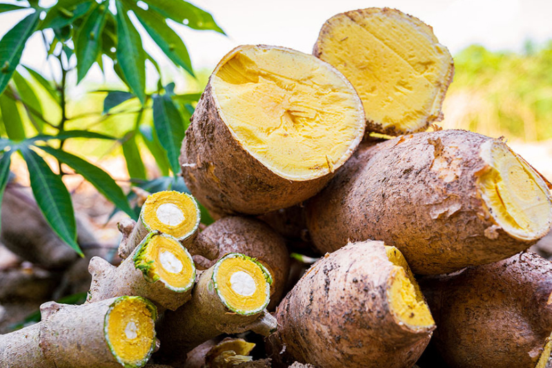 Produção Agrícola do Amazonas Cresce 23,7% e Chega a R$ 3,84 Bilhões em 2025