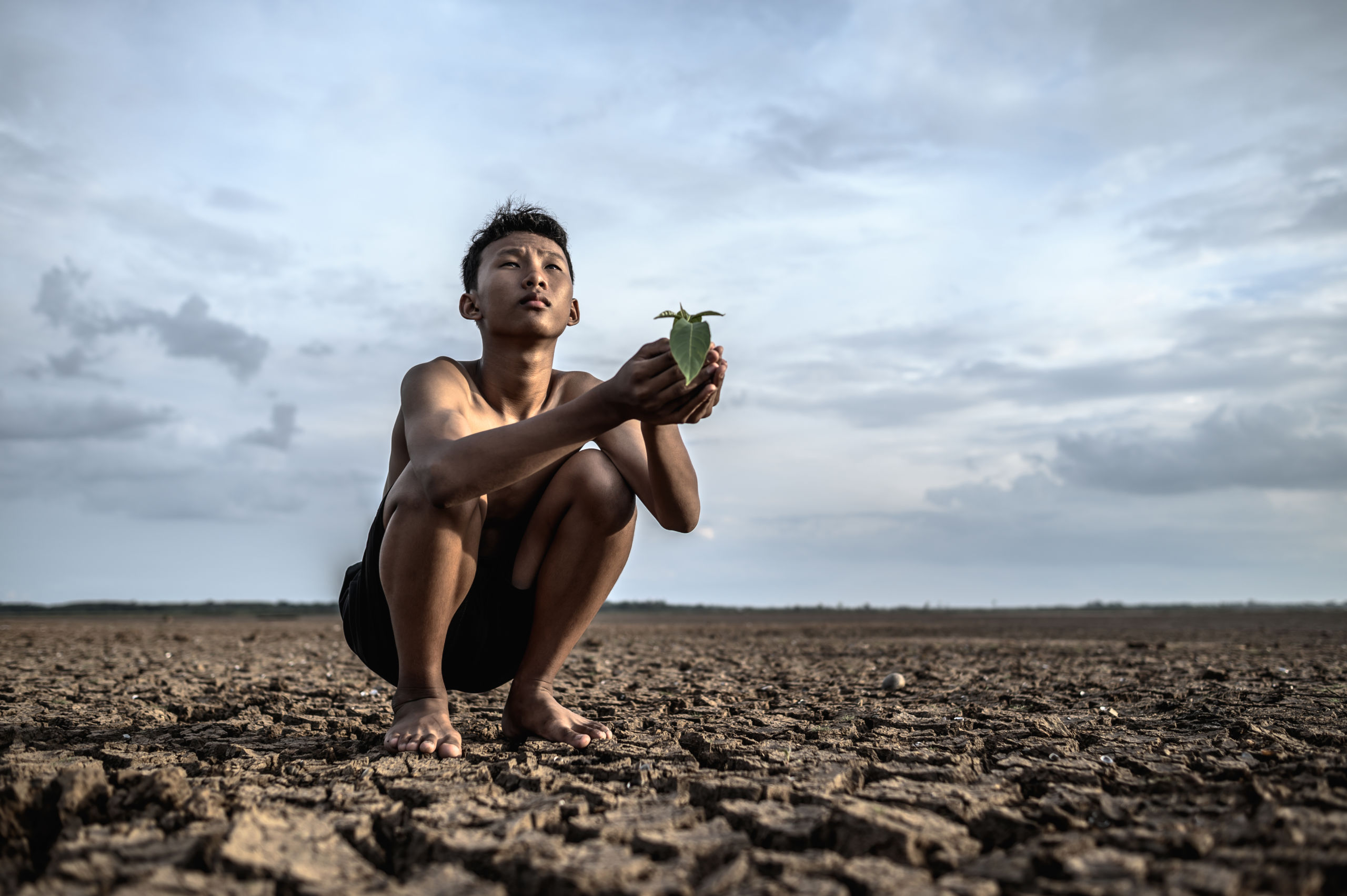 Edital disponibiliza até R$ 500 mil para projetos de comunicação climática