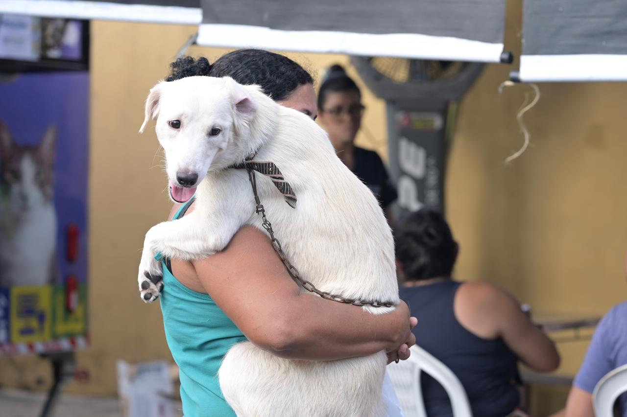 Agendamento para Castração Gratuita de Cães e Gatos Começa em Manaus