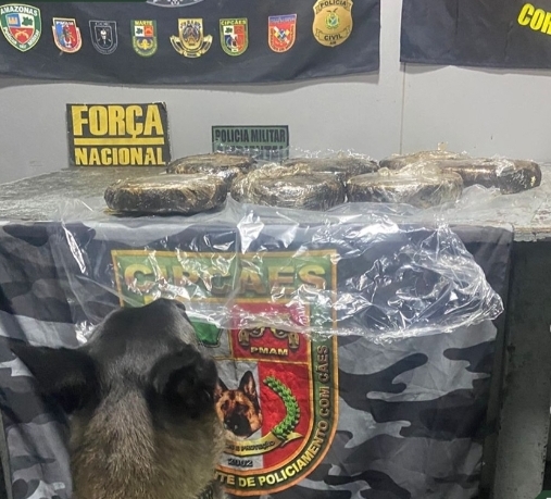 Cadela Athena ajuda a prender mulher com 6,5 kg de cocaína em barco