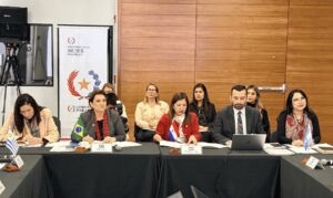 Brasil propõe pacto no Mercosul para combater feminicídio