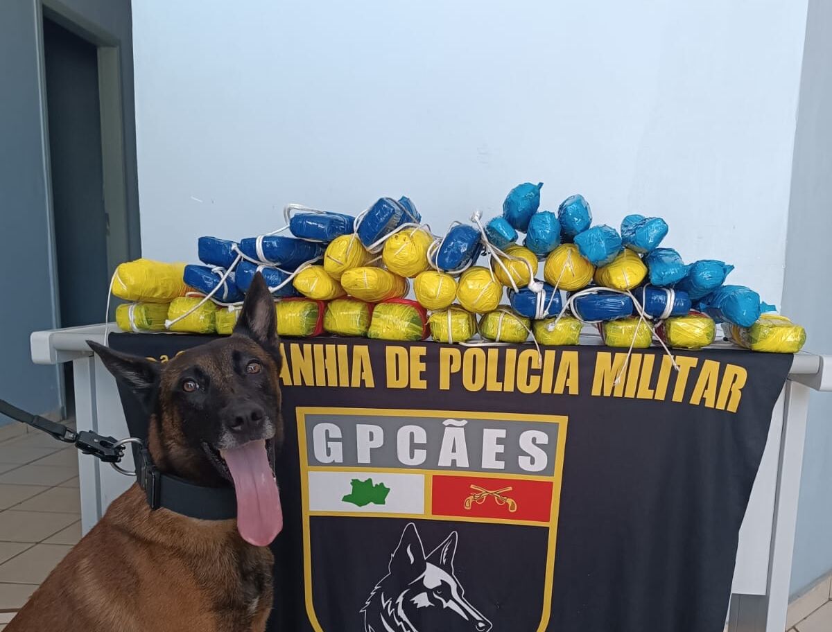 Mais de 21 kg de entorpecentes são apreendidos em embarcação em Tonantins