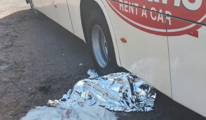 Casal morre em acidente entre moto e ônibus na BR-174 em Manaus