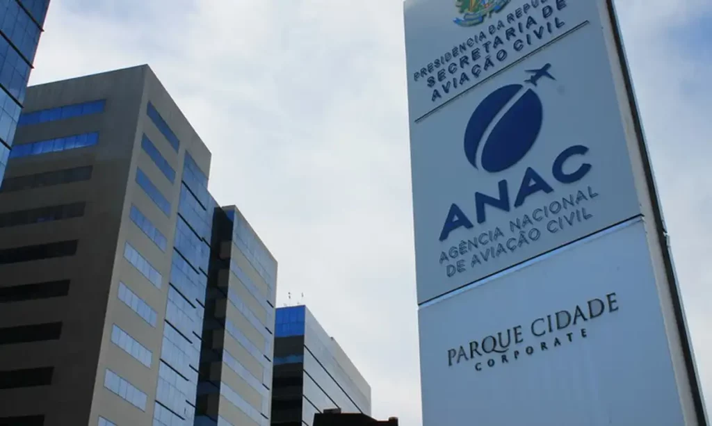 Anac alerta sobre riscos de trote com óleo após morte de piloto em SP
