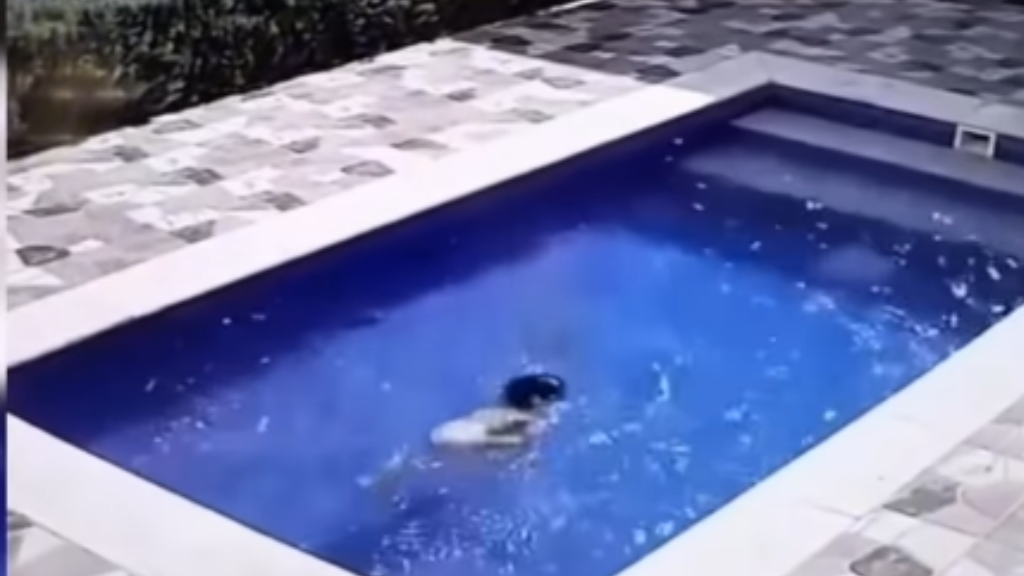 Menina de 3 anos supera paralisia e se salva após cair em piscina