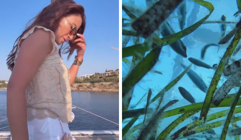 Vídeo de iPhone caindo em rio viraliza com imagens subaquáticas incríveis