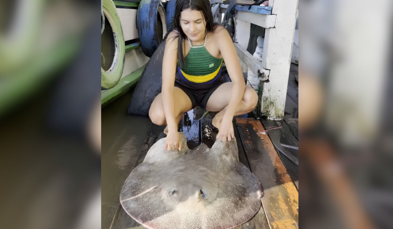 Ribeirinha do Amazonas viraliza ao ensinar a limpar arraia em vídeo