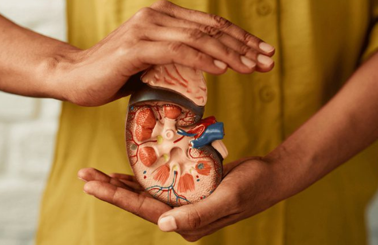 Cuidados Renais: Identifique Sinais e Previne Complicações