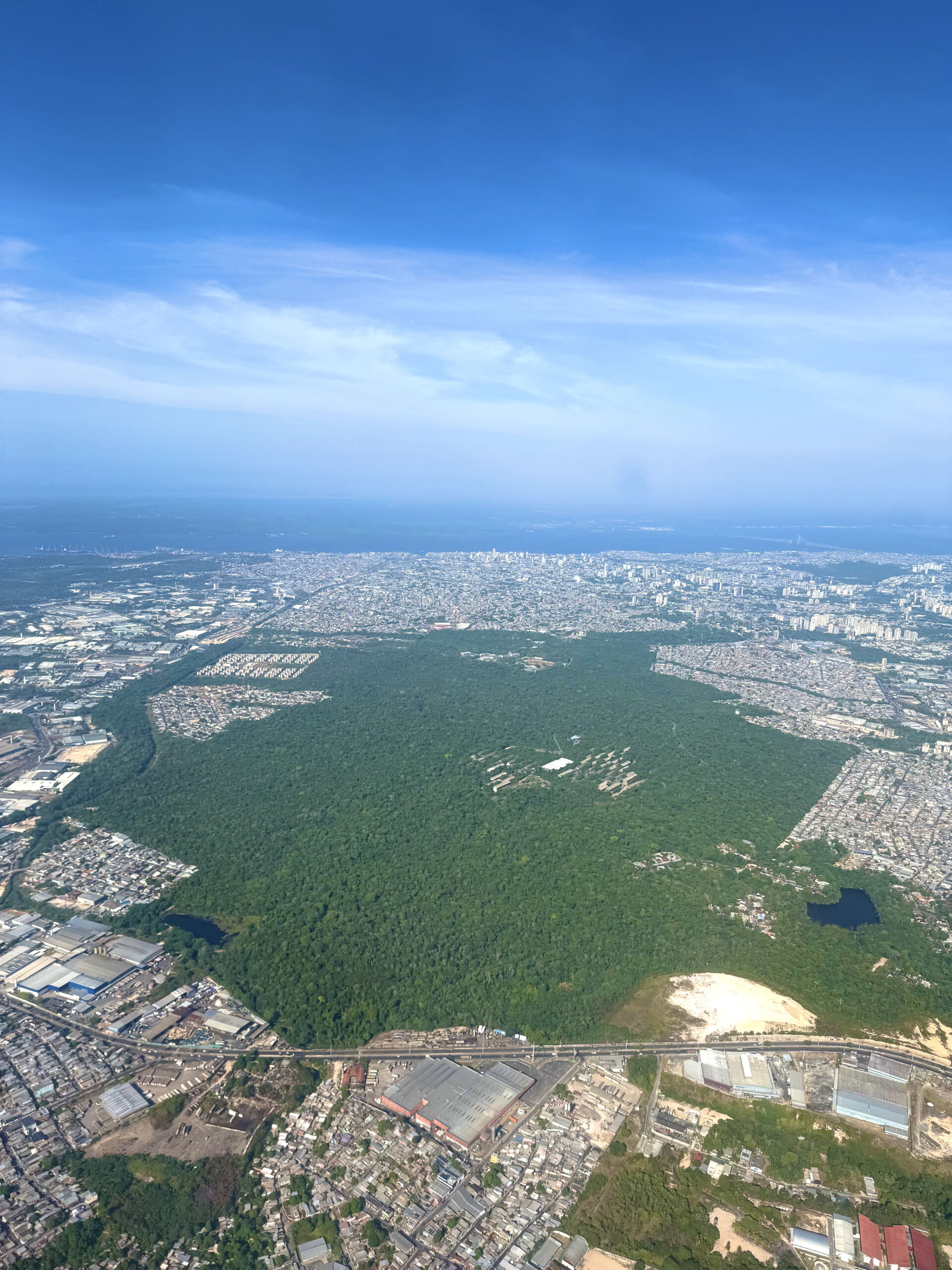 Floresta da Ufam: 700 hectares de Amazônia no coração de Manaus
