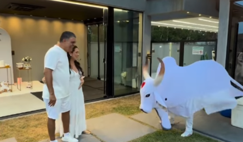 Casal revela sexo do bebê com Boi Garantido em chá revelação; veja detalhes!