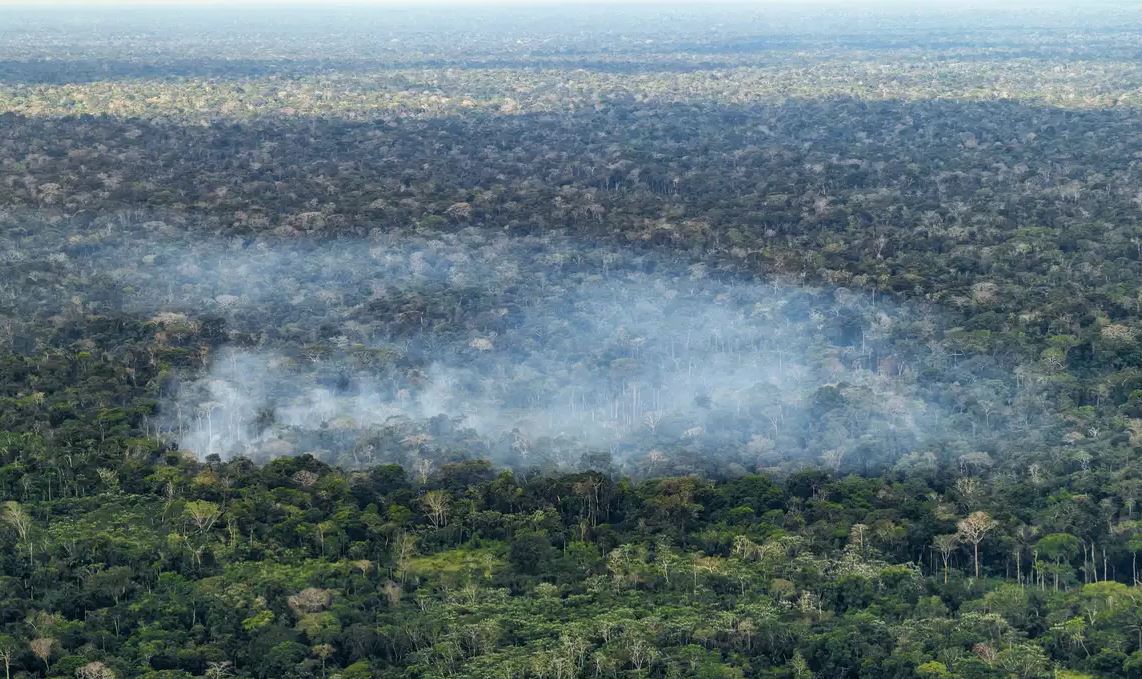 Atividades humanas elevam emissões de carbono na Amazônia, revela estudo