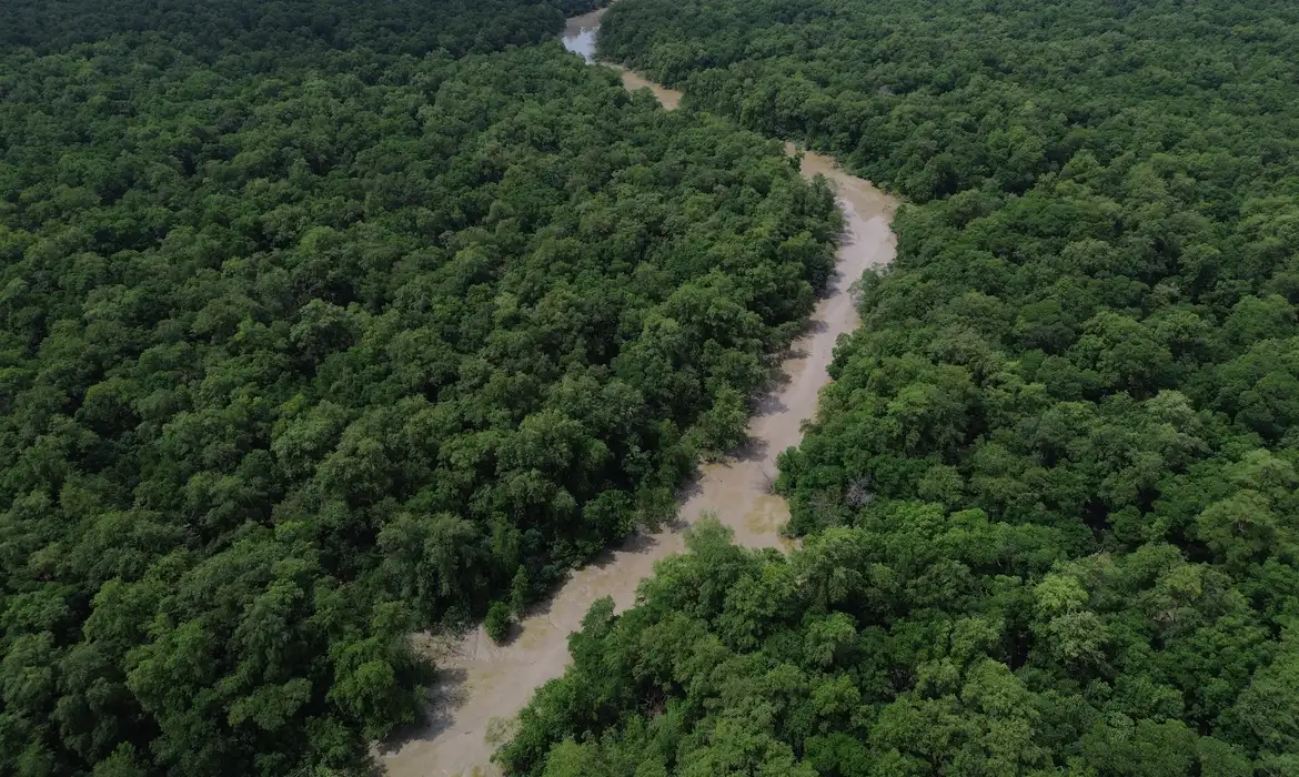 Desmatamento na Amazônia e Cerrado apresenta queda significativa