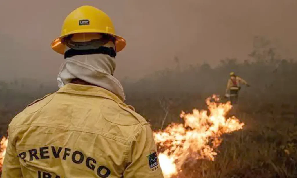 Incêndios no Amazonas diminuem após intensa ação de brigadistas