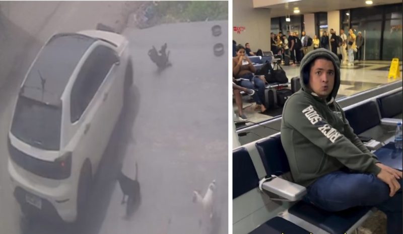 Motorista é preso no aeroporto de Manaus após atropelar cães em calçada