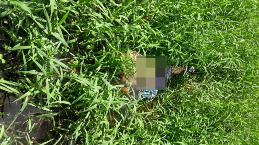 Homem é encontrado morto em área de mata no bairro Biribiri, em Manacapuru