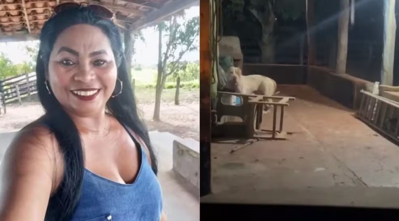 Mulher morre após ataque de pitbull criado pela família em Bacabal