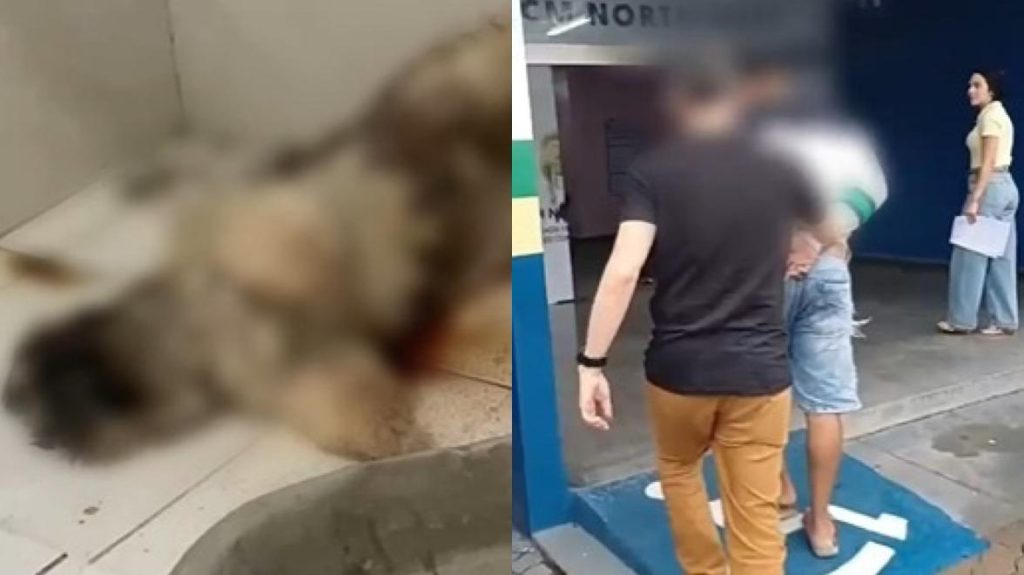 Homem é preso por invadir casa da ex-mulher e matar cachorro em Manaus