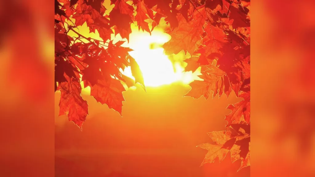 Manaus registra maior temperatura de 2026 com 37,3°C
