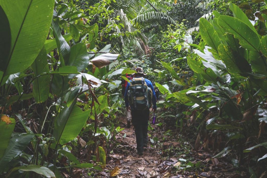 Um Dia no Parque: Atividades Gratuitas nas UCs da Amazônia em 2026