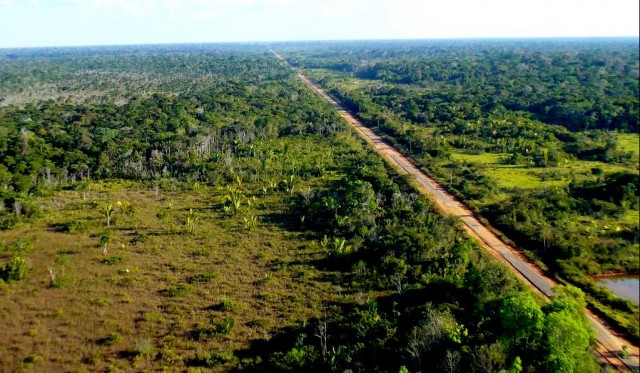 Governo federal designa área especial ao redor da BR-319 para desenvolvimento regional