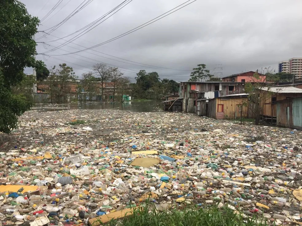 Zoonoses no Brasil: Desigualdade Social Impacta Indígenas e Negros