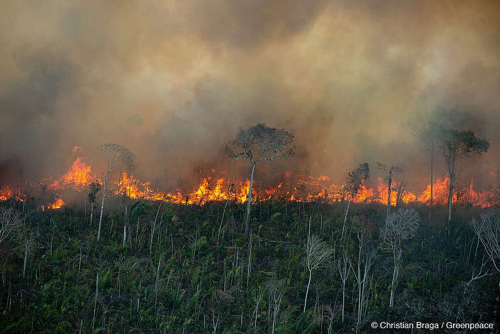 Governo Brasileiro se Prepara para Enfrentar os Efeitos do El Niño