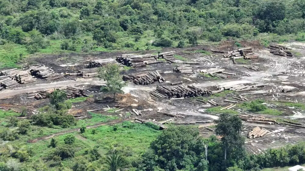 IPAM lança calculadora de danos climáticos na PGR em Brasília