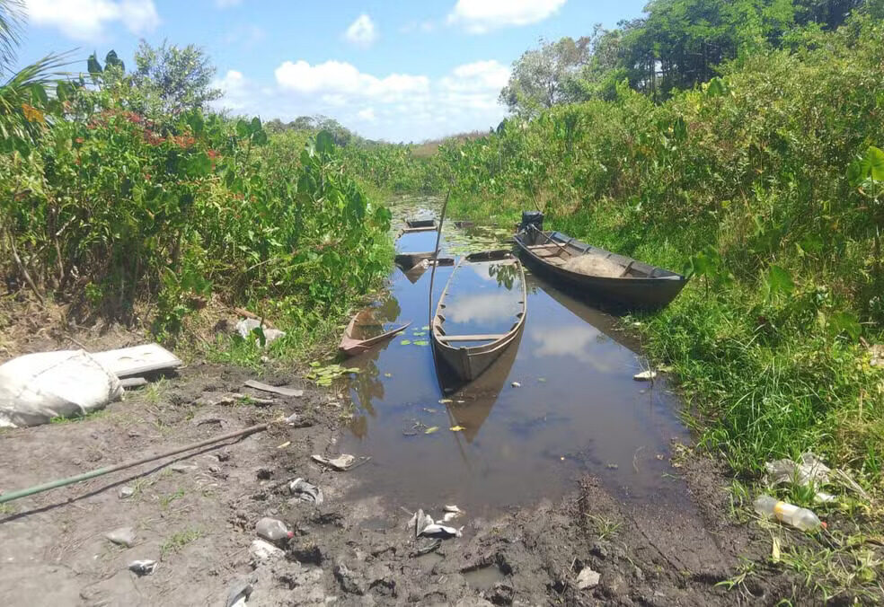 El Niño de 2026 e o risco de seca na Amazônia: impactos e desafios