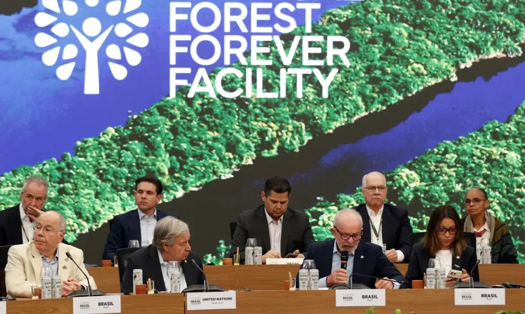 Holanda destina US$ 500 milhões ao Fundo Florestas Tropicais do Brasil