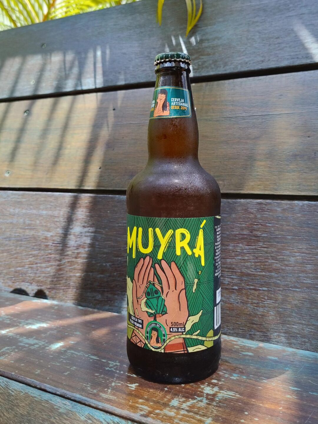 Cervejas da Amazônia: Criatividade e Regionalidade em Alta
