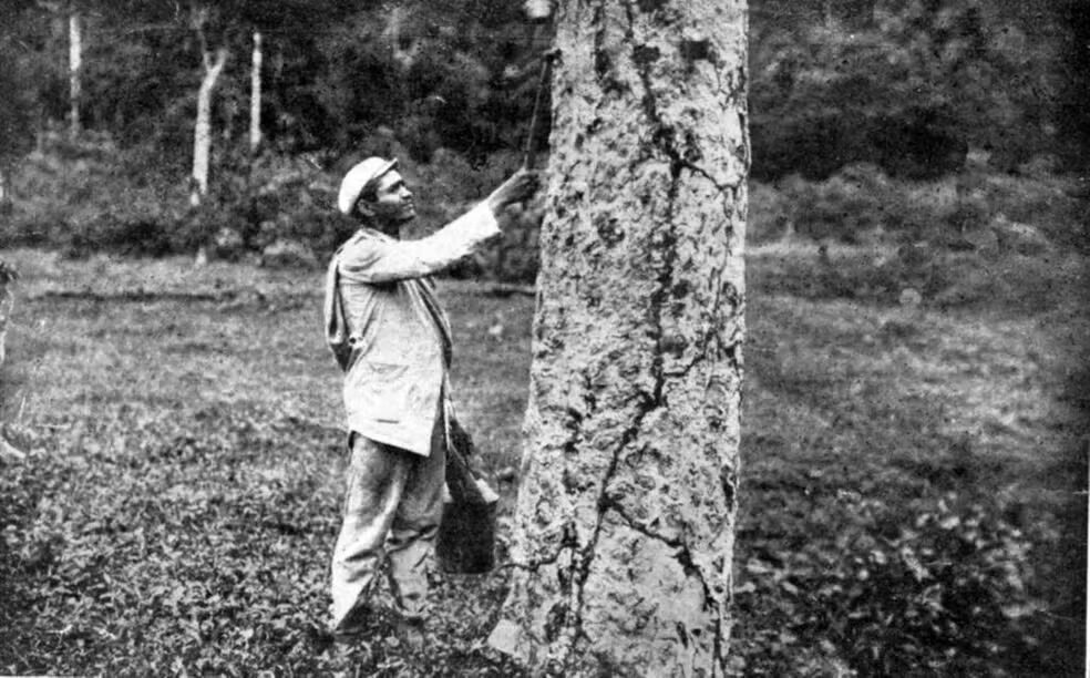 A Revolução Acreana e a Terceira República: Mudanças nas Fronteiras do Brasil