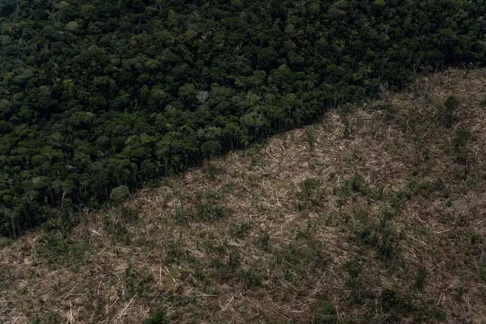 Desigualdade de Investimentos Públicos na Amazônia é Destaque em Estudo