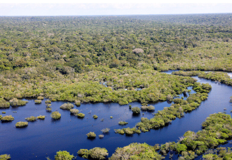 Amazônia Legal apresenta baixos índices de transparência ambiental, aponta estudo