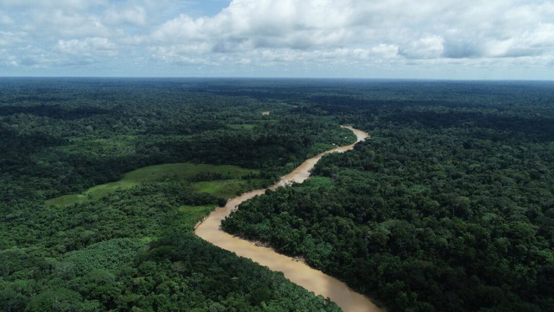 Acre mantém baixo desempenho em democracia ambiental na Amazônia Legal