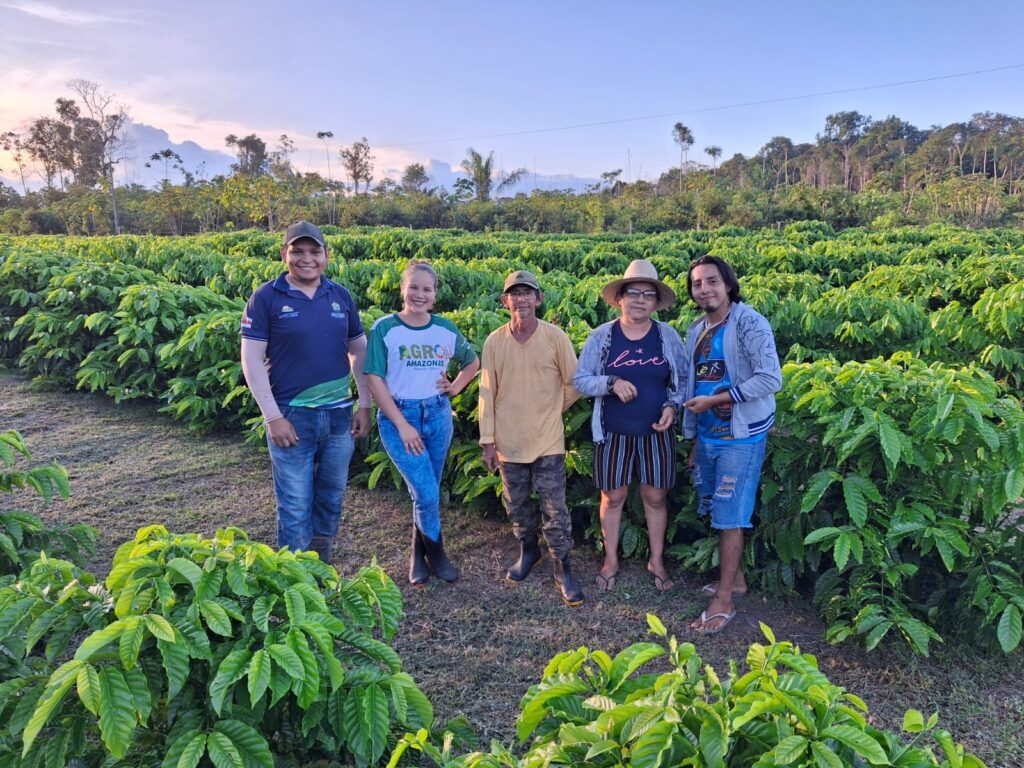 Crescimento da Cafeicultura no Amazonas: +340% com Robustas Amazônico