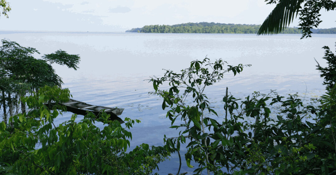 Museu Goeldi e Institutos de Pesquisa Debatem Ameaças na Pan-Amazônia