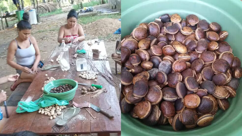 Brincos Karipuna do Amapá são destaque nos clipes de Anitta