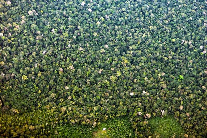 APA Triunfo do Xingu lidera pressão por desmatamento na Amazônia em 2026